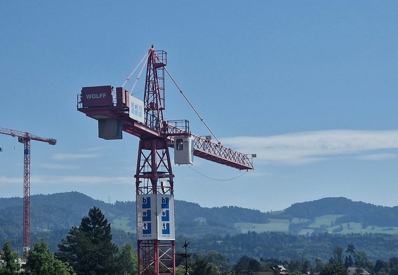 a crane that is standing in the grass